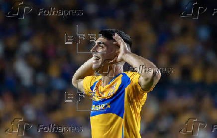 Liga MX: Tigres - Len