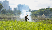 INCENDIO EM AREA URBANA DE LONDRINA - PR