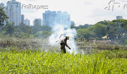 INCENDIO EM AREA URBANA DE LONDRINA - PR