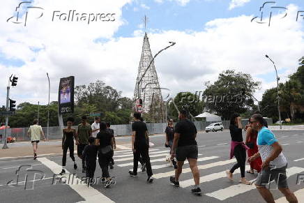 rvore Natal Ibirapuera