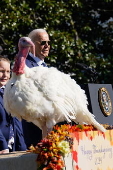 US President Biden pardons two turkeys on annual Thanksgiving tradition