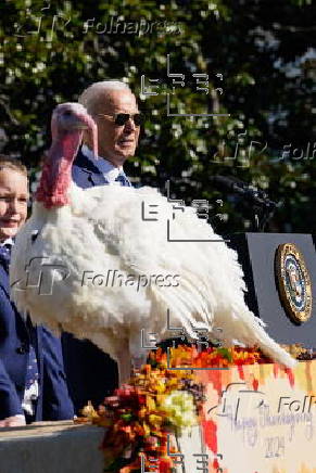 US President Biden pardons two turkeys on annual Thanksgiving tradition