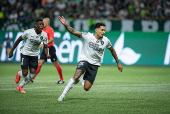 Partida entre palmeiras e botafogo pelo campeonato brasileiro de futebol 2024