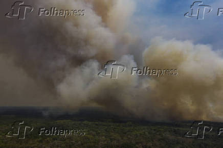 Vegetao  consumida pelo fogo em Pacone (MT)