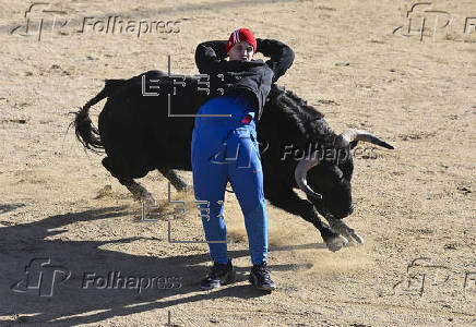 Arranca en San Sebastin de los Reyes la temporada de encierros taurinos en Espaa