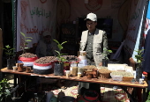 Yemeni Mocha Coffee Day in Sana'a