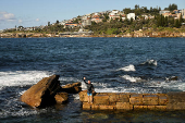 A man waves from a rock wall at Giles Baths at Coogee Beach on ANZAC Day in Sydney