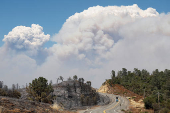 Wildfire near Forest Ranch, California