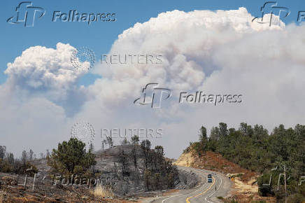 Wildfire near Forest Ranch, California