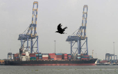 FILE PHOTO: FILE PHOTO: A crow flies past a container ship docked at a port in Vallarpadam in the southern Indian city of Kochi