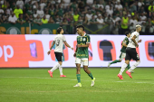 Partida entre PALMEIRAS X BOTAFOGO pelo Campeonato Brasileiro