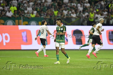 Partida entre PALMEIRAS X BOTAFOGO pelo Campeonato Brasileiro