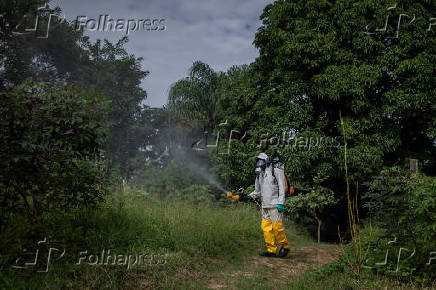 Funcionrio da prefeitura durante nebulizao contra o mosquito da Dengue