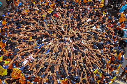 Celebraciones del festival hind Janmashtami en Munbai