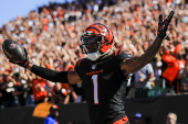 NFL: Baltimore Ravens at Cincinnati Bengals