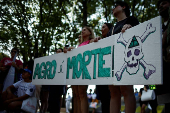 Activists take part in the global Fridays for Future climate strike, in Brasilia