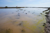 Aftermath of floods in Spain