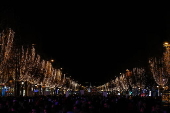 Paris Olympics chief Estanguet turns on Christmas lights on the Champs Elysees