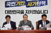 Ruling People Power Party's interim leader speaks