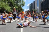 CARNAVAL / PERNAMBUCO EM SP