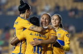Liga Femenina Mx: Tigres - Necaxa