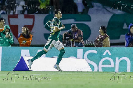 BRASILEIRO A 2024, PALMEIRAS X ATLETICO-MG