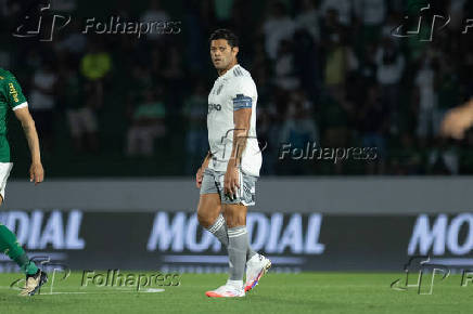 Partida entre Palmeiras e Attico-MG pelo Campeonato Brasileiro 2024