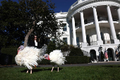 U.S. President Biden pardons the ThanksgivingTurkeys during the annual ceremony at the White House in Washington