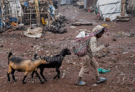 Internally displaced civilians from the camps in Munigi and Kibati, carry their belongings as they flee to Goma