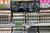 Sign for customers shopping for eggs at Trader Joe's hangs in Merrick, New York