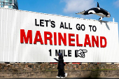 Marineland Canada aquarium, zoo and amusement park in Niagara Falls