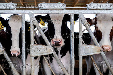 FILE PHOTO: Dairy farmer Brent Pollard in Rockford