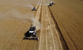 FILE PHOTO: Dire Russian crop health and Ukraine export risks threaten Black Sea wheat -Braun