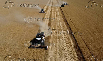 FILE PHOTO: Dire Russian crop health and Ukraine export risks threaten Black Sea wheat -Braun