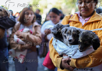 People bring their pets to be blessed on Saint Anthony's day, on the outskirts of Mexico City