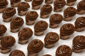 Belgian chocolate pralines maker Neuhaus in Vlezenbeek