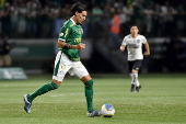 Partida entre Palmeiras e  Botafogo vlida pelo Campeonato Brasileiro 2024.