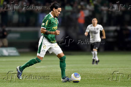 Partida entre Palmeiras e  Botafogo vlida pelo Campeonato Brasileiro 2024.