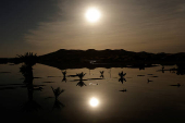 The sun rises over sand dunes and palm trees partially covered by floodwaters, after rare rainfall hit the area last September, in Merzouga