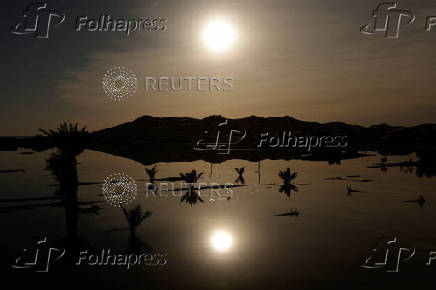 The sun rises over sand dunes and palm trees partially covered by floodwaters, after rare rainfall hit the area last September, in Merzouga