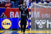 IHF Men's Handball World Championship - Denmark vs Brazil