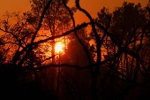 Wildfire near Chico, California