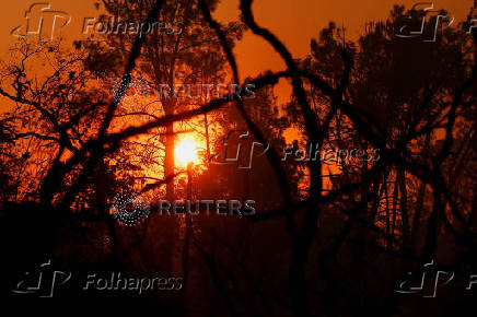 Wildfire near Chico, California