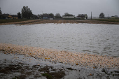 A view shows a flooded field after heavy rainfalls, near Perg