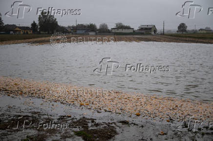 A view shows a flooded field after heavy rainfalls, near Perg