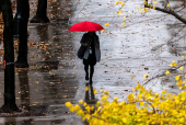 A woman walks in a local street during a rainy day in New York