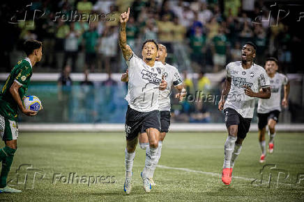 Campeonato Brasileiro Srie A1 - Palmeiras x Botafogo