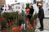 Christmas trees on sale in central Bialystok