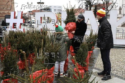 Christmas trees on sale in central Bialystok