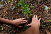ESPECIAL-SUSTENTABILIDADE